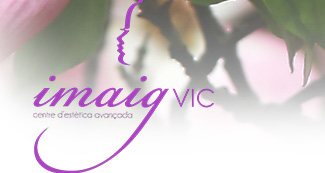 Logo IMAIGVIC